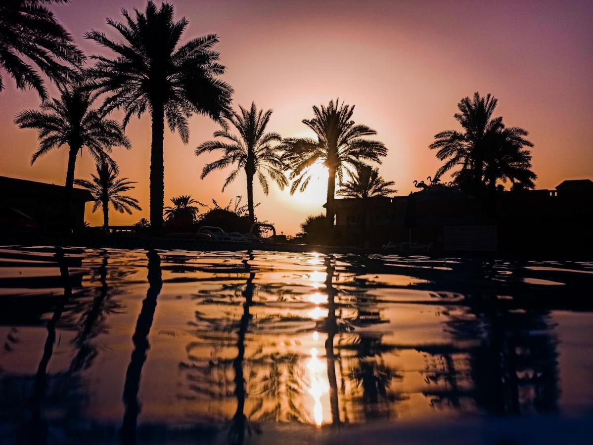 Flamingo Beach Hotel Umm al-Quwain Luaran gambar