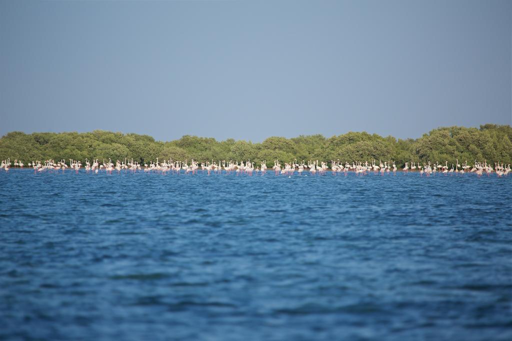 Flamingo Beach Hotel Umm al-Quwain Luaran gambar